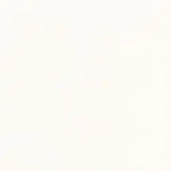 Solid white backdrop