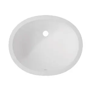 Minimalist oval sink design