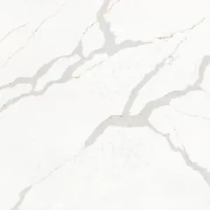 White marble surface with natural gray veining.