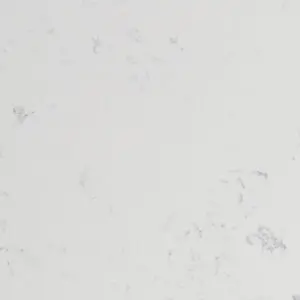 Smooth white surface with faint gray markings.