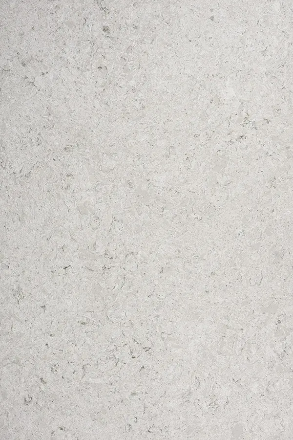 Light gray textured stone surface