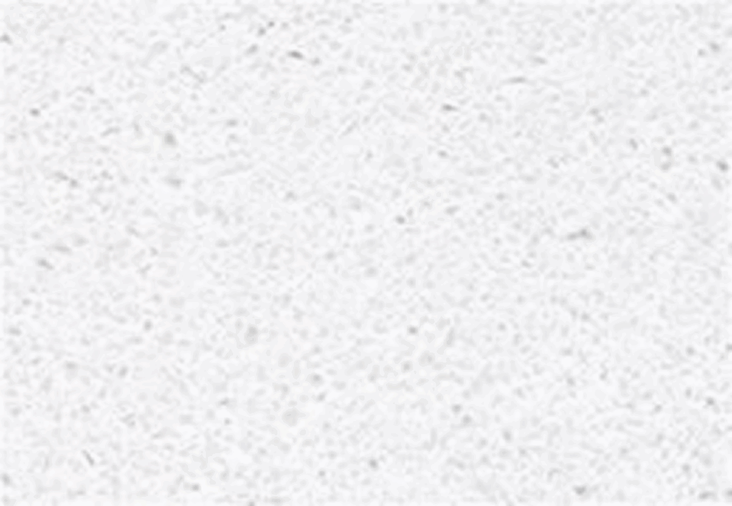 White textured surface