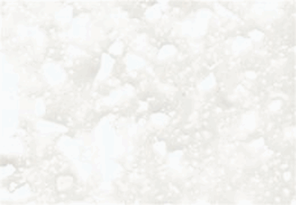 Close-up of a speckled white texture