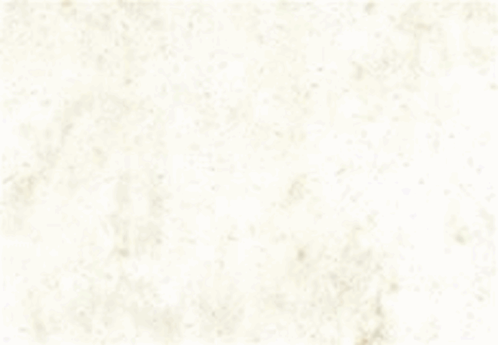 Marble texture with subtle gray veins