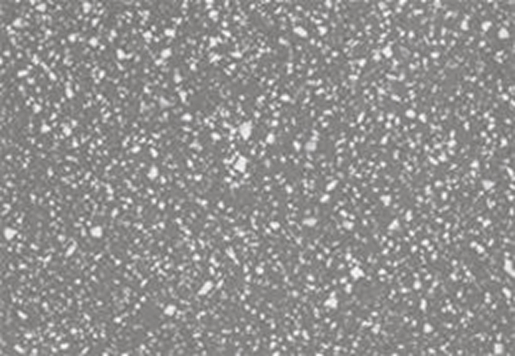 Speckled surface with white flecks