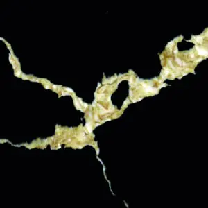 Jagged line against dark surface