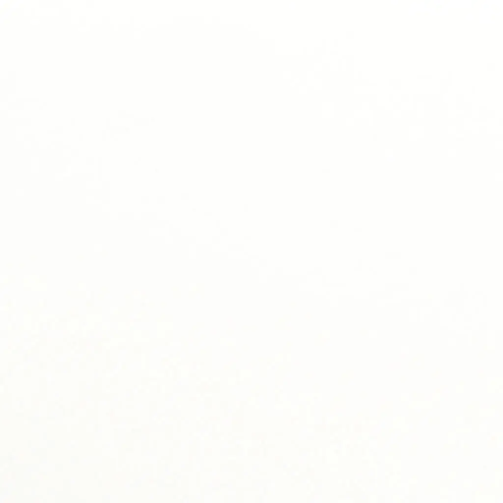 Plain white background