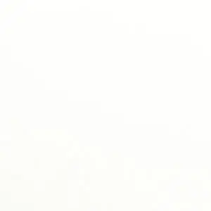 Plain white background