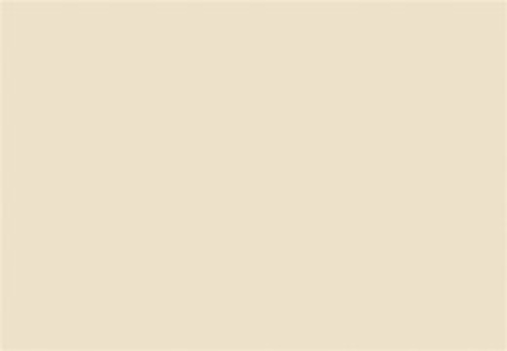 Plain beige background