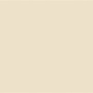 Plain beige background