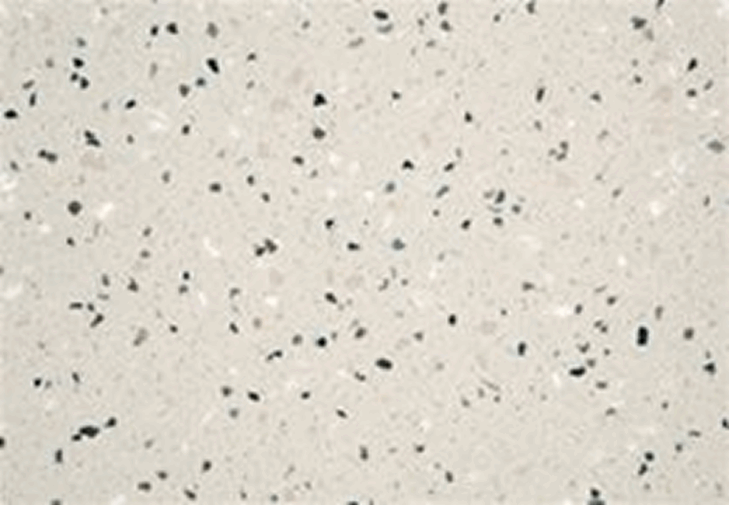 Black-speckled terrazzo pattern on white surface