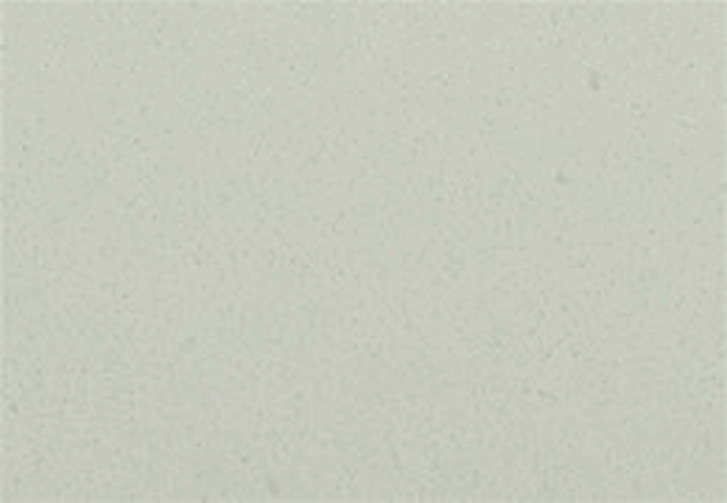 Smooth light gray background