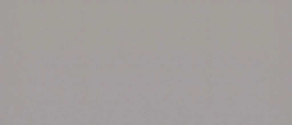 A plain gray surface with no distinct features.