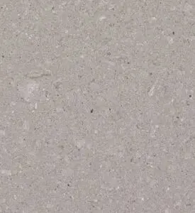Close-up of a smooth, gray textured surface.
