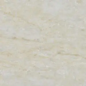 taj5-300x300