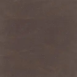 CSS_Artista_Mocha-250x250