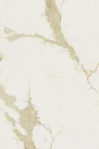 White marble surface with gold veining