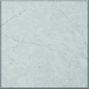 697895a069d19_FS8412-close-up-300x300